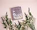 The Way of the Wildflower: Gospel Meditations to Unburden Your Anxious Soul