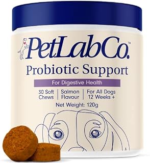 Petlab Co. Probiotic Chews  Support Gut Health, Itchy Skin, And Yeast Build Up - Probiotics for dogs - Packed With Healthy Bacteria - Promote Gut Health Easily