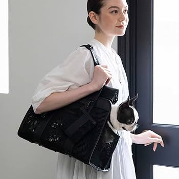 Amazon.co.jp: [citydog/シティドッグ] ライトメッシュキャリー │ 犬