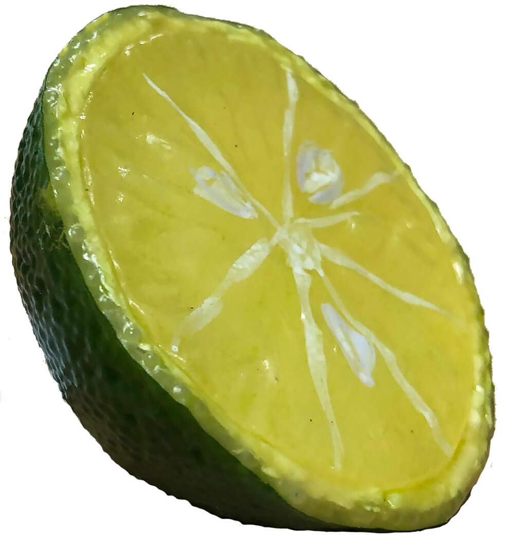 Props4shows Fake Lime Half
