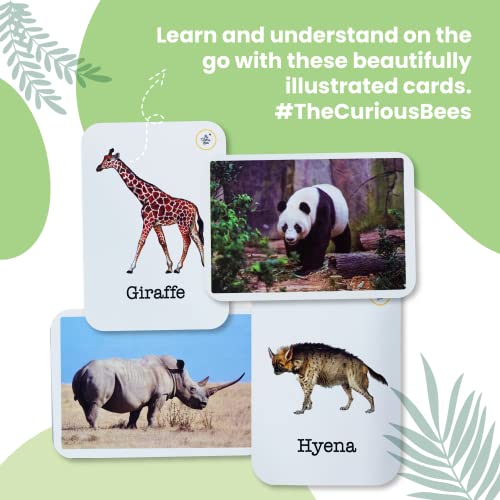 Image of Animals | 36 Laminated Anti-Glare Flash Cards | Montessori Inspired Fun & Easy to Learn Toys for Kids