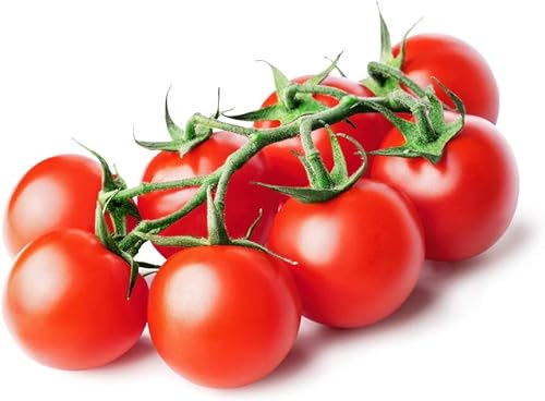 Miniatura 2 de Tiny Tim Semillas de tomate para plantar, más de 100 semillas, fabricadas en EE. UU.