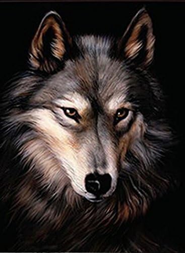 Framed Lenticular Art. 3D Art Changing Pictures. 3D Changing Art and Flipping Pictures. Framed and Unframed Poster Options. Each Purchase Includes 2 3D Pictures.