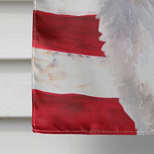 Husky Sibérien grand drapeau de maison décoratif multicolore en toile