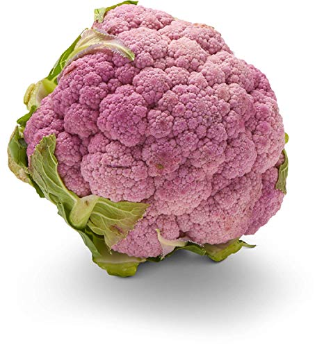 Purple Cauliflower, 1 Head