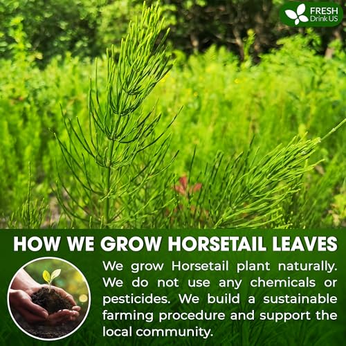 Image of FreshDrinkUS, Horsetail Leaf Powder 8oz | Premium Quality, Sustainably Sourced, All-Natural Herbal Powder for Tea, Smoothies, and DIY Creations | Resealable Pouch for Freshness