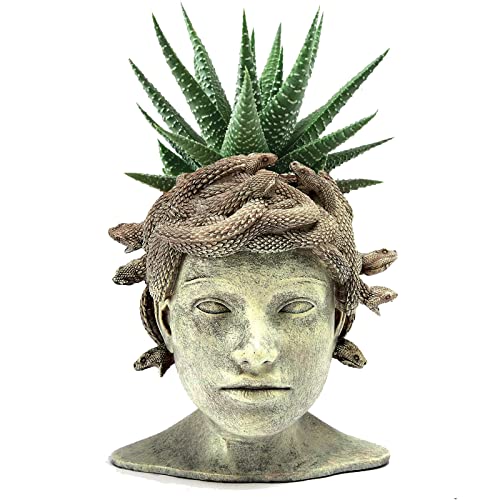 GUTE Medusa Head Planter, Large Solid Stone Face Planter Large Garden Decor Statue Flower & Planter Pot Waterproof Outdoor Garden Flower Pot Art Hand Crafted Original Sculpture - Unique Gifts