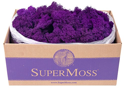 SuperMoss 21786 Reindeer Moss Preserved Black Appx. 3 lb Bulk Case product thumbnail 15