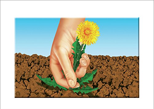 COMPO graszaad, spel en sport, universele grasmix 8 kg Graszaad, spel en sport. 11 x 35 x 64 cm geel - Afbeelding 7