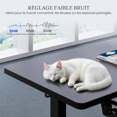 Bureau assis debout pour télétravail Flexispot 180x80 cm réglable noir