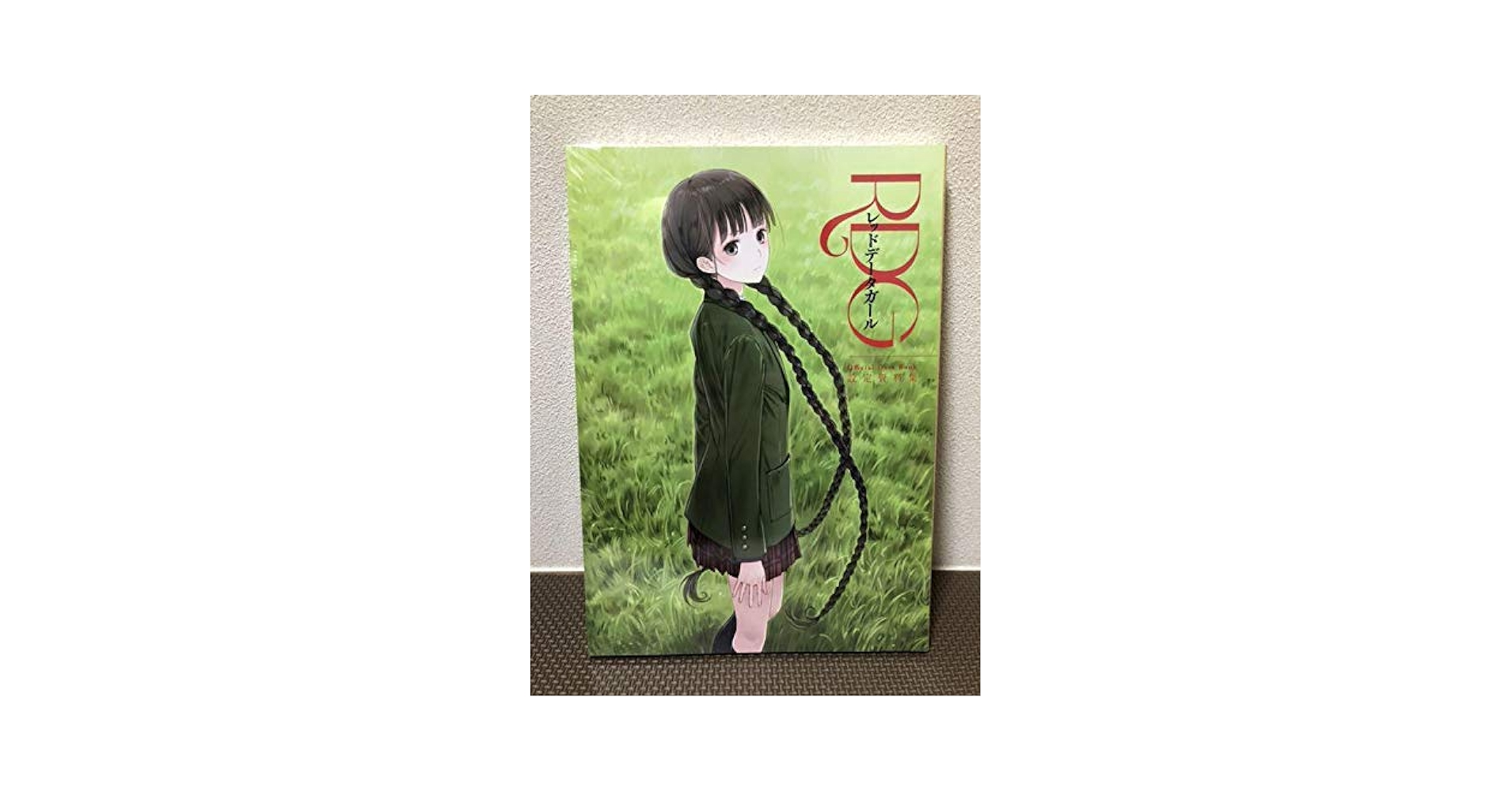 Amazon.co.jp: RDG レッドデータガール 設定資料集 : おもちゃ