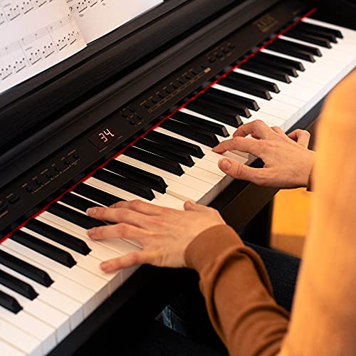 Axus Digital AXD2BK Piano numérique Noir - Les Beatles, Paul McCartney, John Lennon, RIngo Starr, George Harrison Axus Digital AXD2BK Piano numérique Noir – Image 6