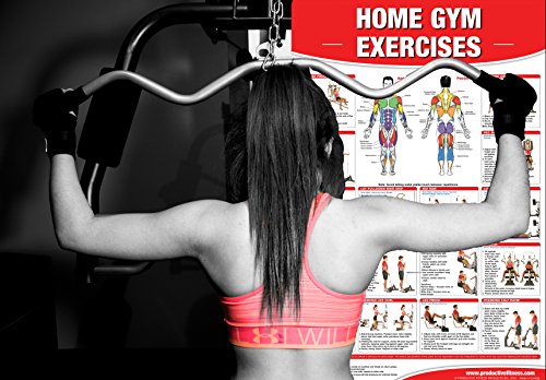 Home Gym Exercises Laminated Poster/Chart: Home Gym Chart, Home Gym Weight Lifting Routine, Weight Stack Gym Chart, BodySolid Gym Poster, ... Selectorized Gym Poster, Exercises poster