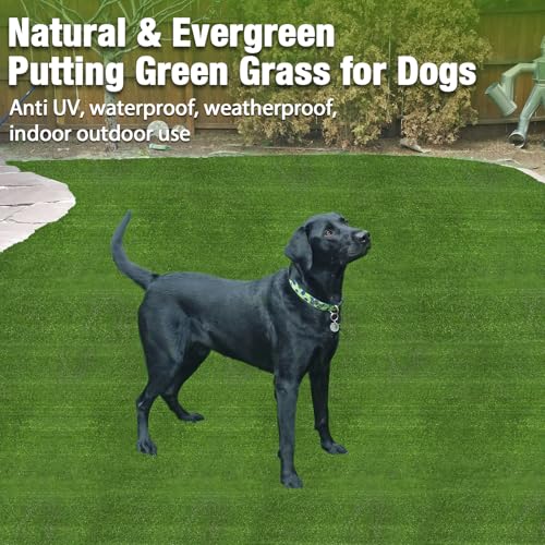 Image of GLOBREEN Artificial Grass for Dogs Potty, 3FT X 3FT Pets Fake Grass Turf for Patio Balcony Backyard, Waterproof Easy to Cut