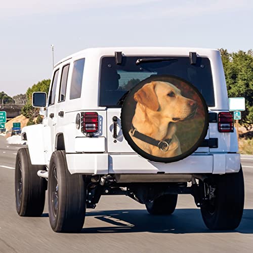 Image of Golden Lab Labrador Retriever Family Loyal Hunting Dog Spare Tire Cover Dust-Proof Wheel Tire Cover Fit Trailer, RV, SUV and Many Vehicle 16 Inch