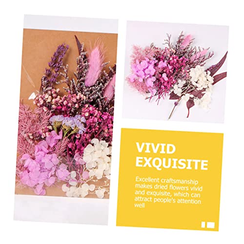 Kit de flores secas para manualidades y decoración miniatura 7