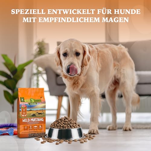 Wildborn Wild Mustang 2 kg Hundefutter – getreidefreies Trockenfutter für Hunde mit Süßkartoffel & Aroniabeeren – ideal für Allergiker, hypoallergen, empfohlen von Tier-Heilpraktikern
