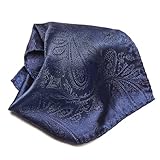 Vesuvio Napoli PAISLEY Design Men's Hankerchief Pocket Square Mens Hanky Hankie, Navy Blue, 10x10 In