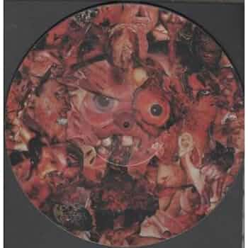 洋楽 Carcass Symphonies Of Sickness LP Carcass - Symphonies of Sickness (Vinyl LP) - Music Direct