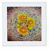 Square dimensions (in inches): 6 L x 6 W, image dimensions (in inches): 4 L x 4 W 100% poloyester; image is soft to touch. Made in USA Edges have pinking shear cut Image will not fade with washing. Image not a transfer, part of material