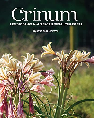 Crinum: Unearthing the History and Cultivation of the World’s Biggest Bulb