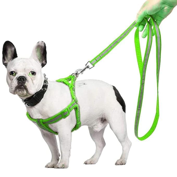 RvPaws 15 MM Nylon Strip Pattern Radium/Reflective Dog Harness and Leash Set Ideal for Puppies and Small Breed Dogs (Green) (B0CFJRFG5H) Amazon Price History, Amazon Price Tracker