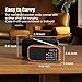 LEOTEC FM Radio with Bluetooth,Digital Radio,Portable Vintage Wood Table Alarm Clock,Best Reception,Type-C Charging, SOS/AUX/USB,Small Gifts