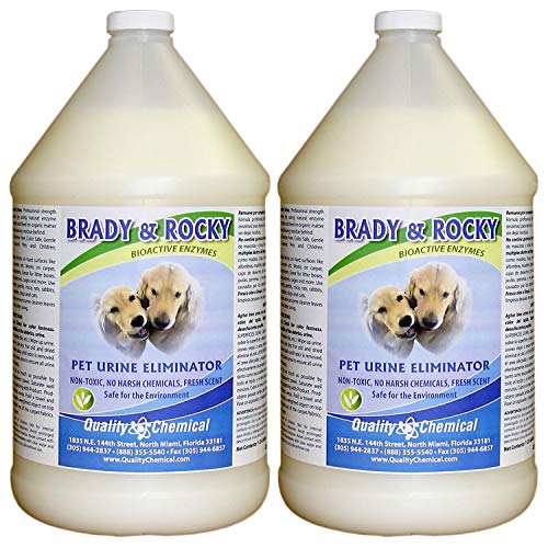 Quality Chemical Brady and Rocky Pet Urine Eliminator - Odor and Stain Remover by - for Carpet, Pet Carpet, Dog Odor Remover for Carpet, Carpet Vomit Stain Remover - 128 oz (Pack of 2)