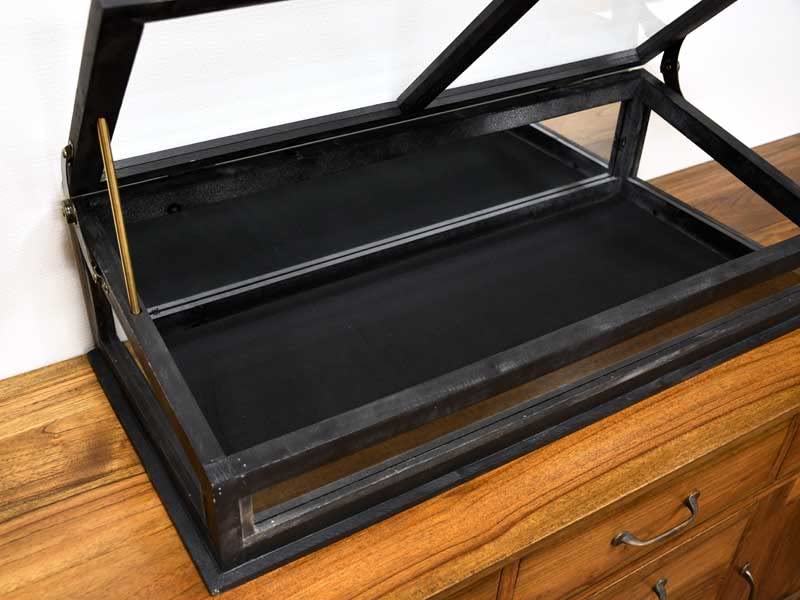 Amazon.co.jp: ヌアール ガラスコレクション ショーケース