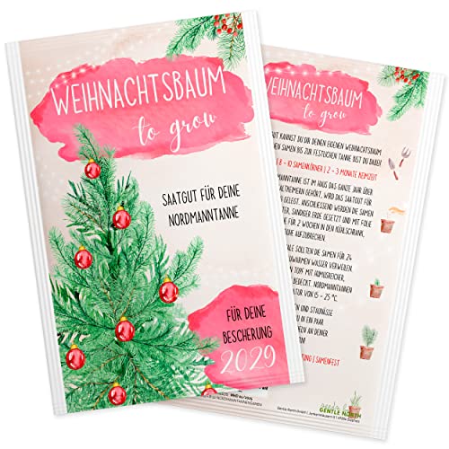 Weihnachtsstern Samen - 100 Stück Pflanzensamen Für Balkon & Garten