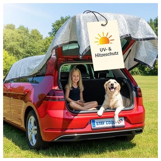Walser Sonnenschutznetz-Auto, PKW-Schattenspender mit UV-Schutz, Universal-Sonnensegel, PKW-Hitzeschutz-Plane, Auto-Schattennetz kühlend 3x4m Silber