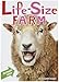 Life-Size Farm