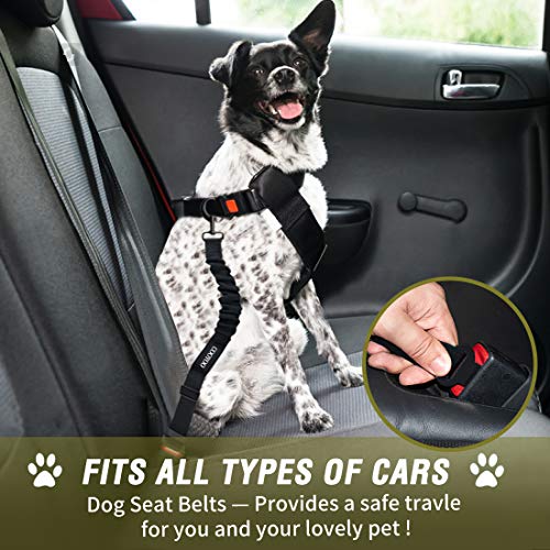 Image of Puppy Training Spray Dog Potty Training Spray for Indoor & Outdoor Use | Dogs Potty Spray for Training | Dog Pee Spray | No More Marking | 250ml, COOYOO Dog Seat Belt,2 (Set 12-Black+Olive)