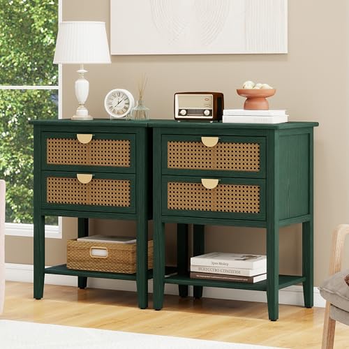 LFGUIZO Green Rattan Nightstand with 2 Drawers & 1 Open Storage Shelf, Boho Bedside Table with Golden Semi-Circular Handles & Solid Wood Legs, Narrow Wood Side Table for Bedroom, 2 PC