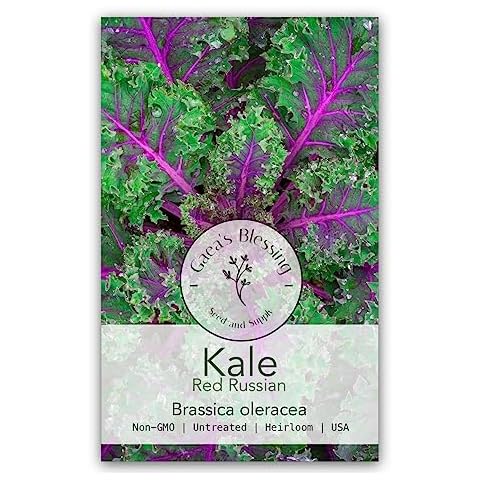 Gaea's Blessing Seeds - Kale Seeds - Non-GMO Seeds with Easy to Follow Planting Instructions - Open Pollinated, Untreated Heirloom (Red Russian) Cover