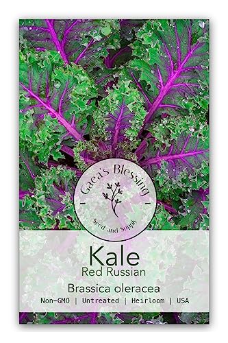 Gaea's Blessing Seeds - Kale Seeds - Non-GMO Seeds with Easy to Follow Planting Instructions - Open...