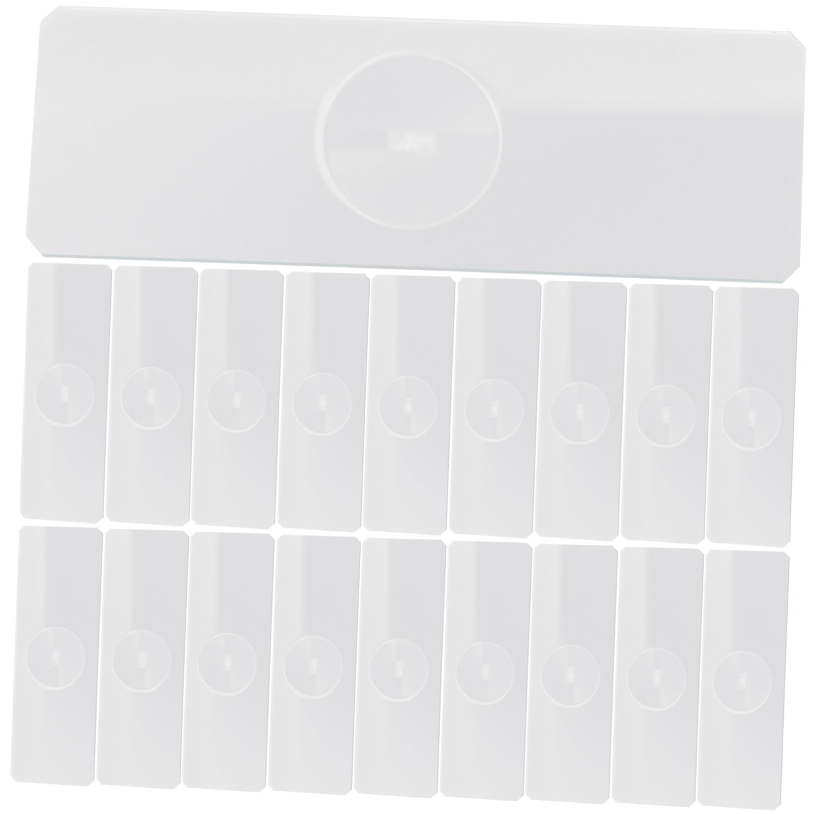 STOBAZA Microscope Slides 50pcs Glass Specimens Slides Frosted Surface for Aquatic Specimens