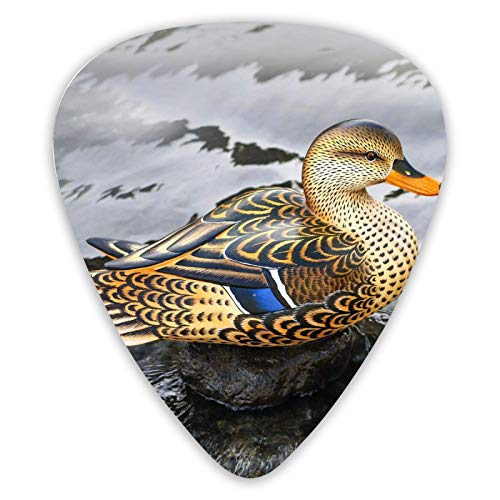 Médiators de guitare Bali canard sauvage dessinés à la main 12 pièces de médiators ukulélé dont 0,46 mm 0,71 mm 0,96 mm - Les Beatles, Paul McCartney, John Lennon, RIngo Starr, George Harrison Médiators de guitare Bali canard sauvage dessinés à la main 12 pièces de médiators ukulélé dont 0,46 mm 0,71 mm 0,96 mm