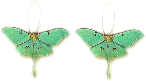 Moth Butterfly Hook Earrings Insect Green Wings Drop Earrings For Women Girls