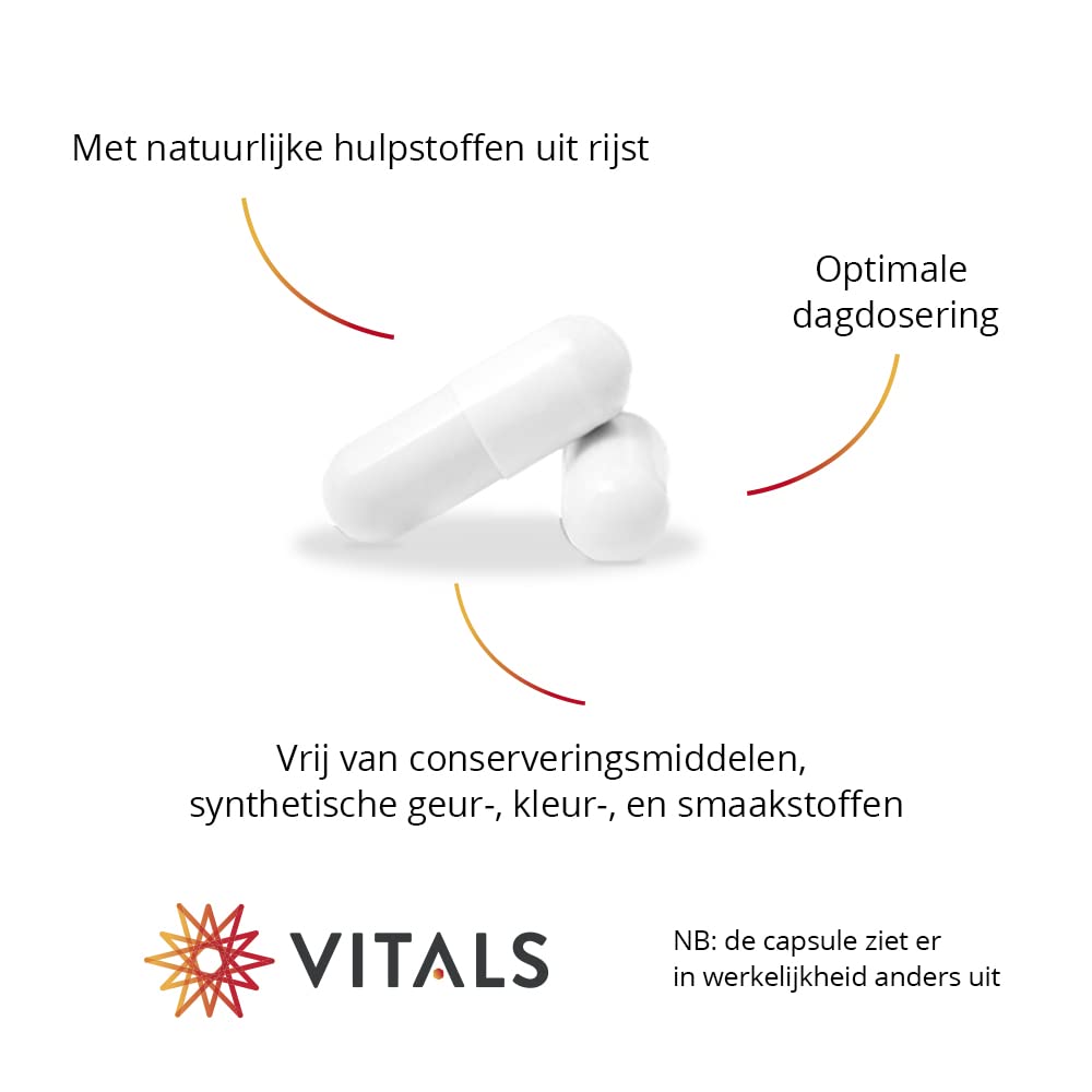 Vitals Curcumin SLCP - 60 Kapseln, vegan. Mit Solid Lipid Curcumin Particles (SLCP) für optimale Bioverfügbarkeit. Für Entzündungshemmung