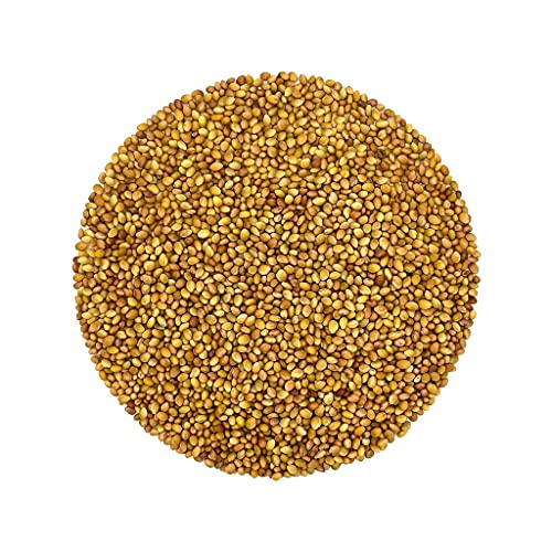 Image of SK ORGANIC Clover Seeds for Microgreens Sprouting and Cultivation (250 GM)