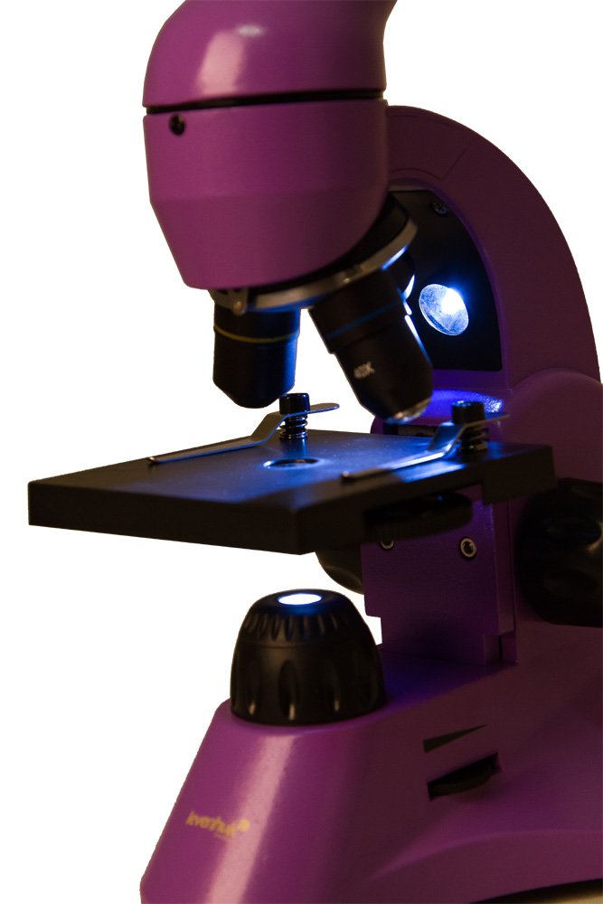 Levenhuk Rainbow 50L Amethyst Kit Científico Educativo con Microscopio Biológico Portátil 800x, Guía de Experimentos Ilustrada, Muestras Preparadas, Herramientas Científicas y Maletín (EN)