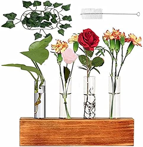 Propagation Station, 4 Test Tubes Glass Terrarium Vase Planter Flower Cuttings Holder with Wooden Stand Propagation Station for…