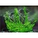 Produktbild Revell 05433 - Modellbausatz Geisterschiff mit Nachtleuchtfarbe 1:72