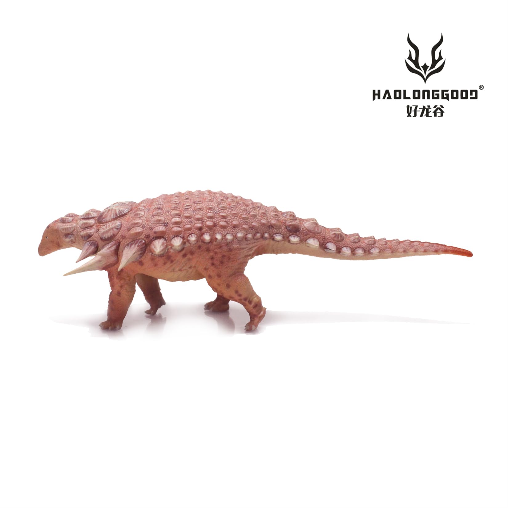 Amazon.co.jp: BACALYSO | HAOLONGGOOD 1/35 サイズ エドモントニア