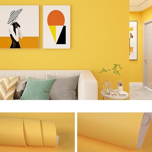 [Caividom]ǎV[ ~gO[ CNV[g n  ͂ NX EH[XebJ[ JbeBOV[g J[V[g  60CM×10M h ϔM h   k gC ʑ HI Lb`