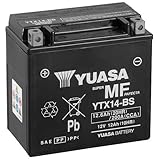 Fahrzeugstarterbatterie vom Markenhersteller