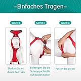PoyPet Reflektierendes, weiches, atmungsaktives Hundegeschirr aus Mesh, erstickungsfreie, doppelt gepolsterte Weste mit verstellbarem Hals und Brust(Rot,S)