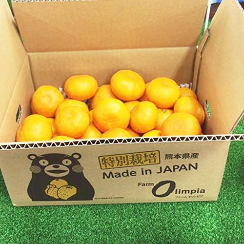 ʍ͔| ݂ 10kg TCYsI m[bNX _͔| F{Y