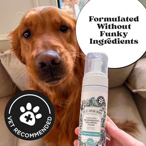 Poo-Pourri Rinse-Free Deodorizing Dry Shampoo for Dogs & Cats – Moisturizing Skin & Coat Soothing Formula - Plant Based Ingredients – Pineapple, Jasmine & Pear – No Rinse Foam Shampoo for Pet Odor - Image 5
